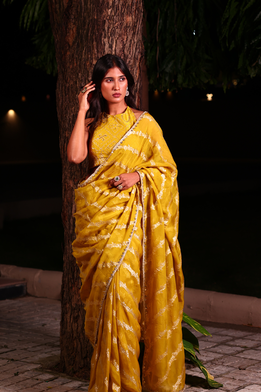Bharti Saree